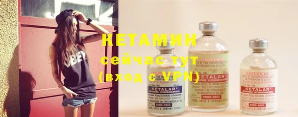 крисы Касимов