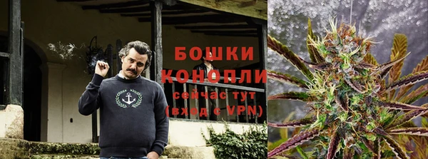 спайс Карпинск