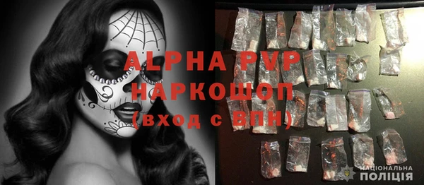 крисы Касимов