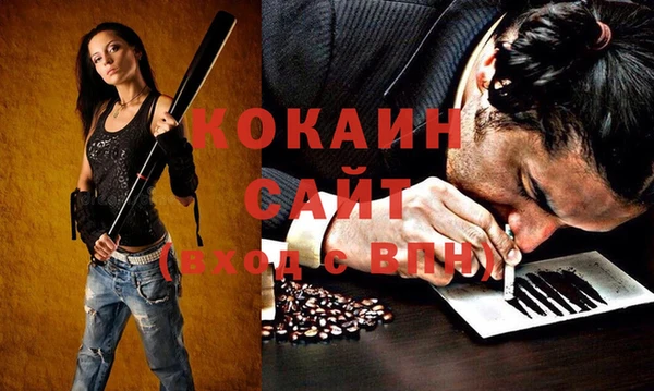 крисы Касимов